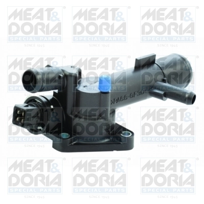 Thermostat, coolant